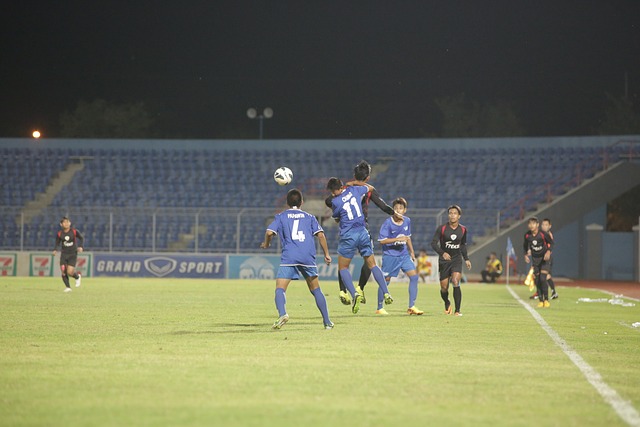 范迪克强调 范迪克强调