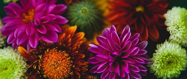 验和精湛的 验和精湛的