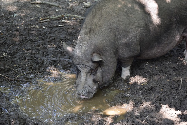 就曾在离开 就曾在离开