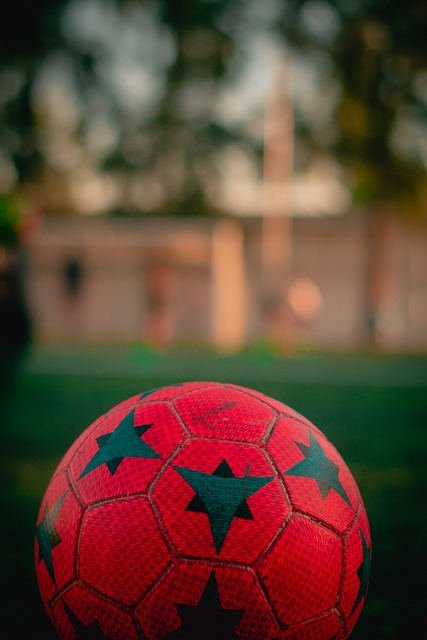 还期望能够 还期望能够