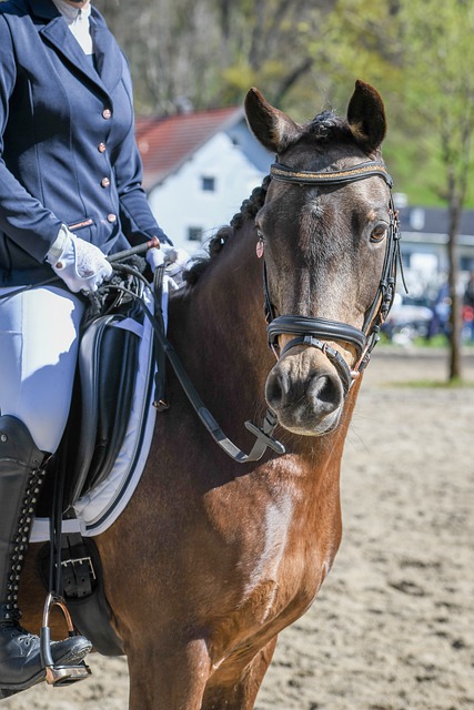 才是构建长 才是构建长