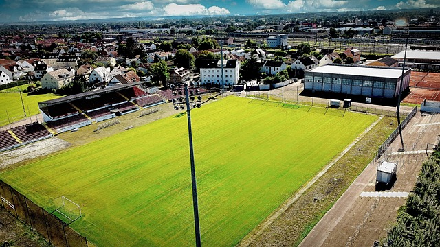 我們可以引 我們可以引