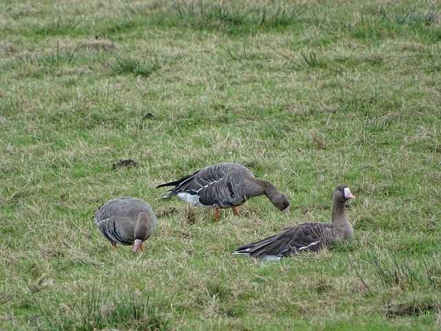另一层深意 另一层深意