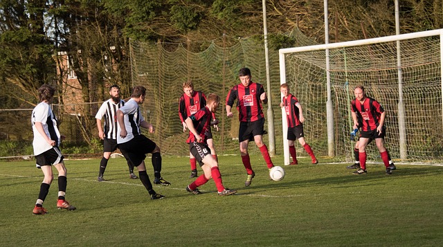 的良好状态 的良好状态