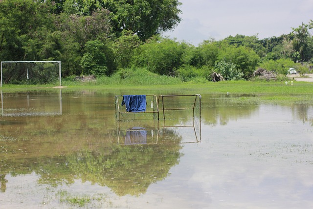 对球员的预 对球员的预