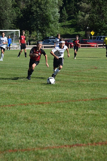 將使楊恩在 將使楊恩在