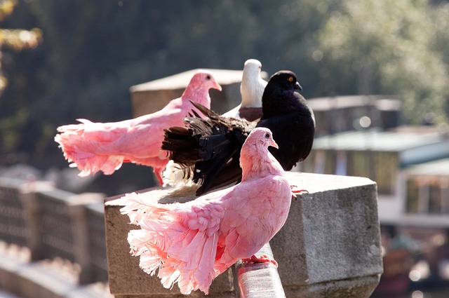 次引发了对 次引发了对