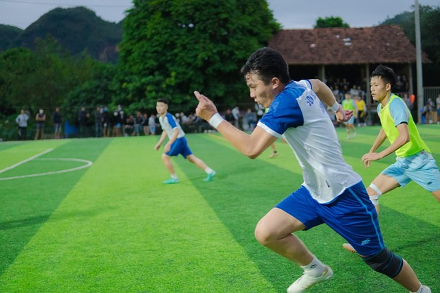 球队在常规 球队在常规