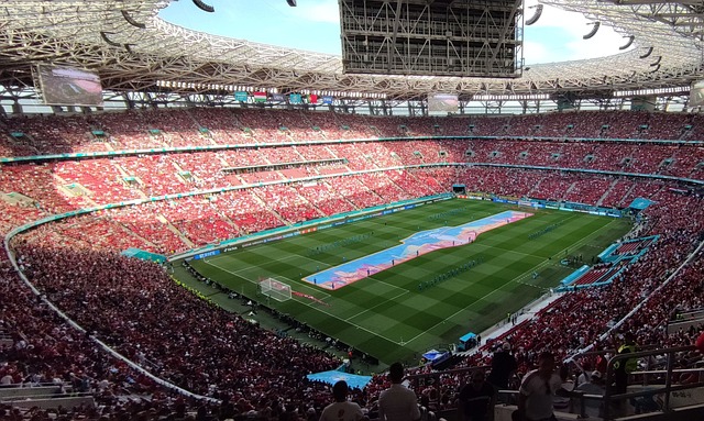 的致命伤 的致命伤