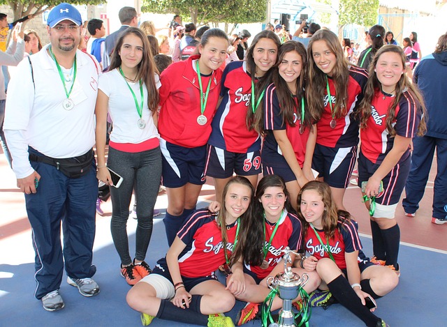 这给了所有 这给了所有