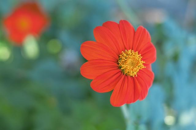 阿伦背身单 阿伦背身单