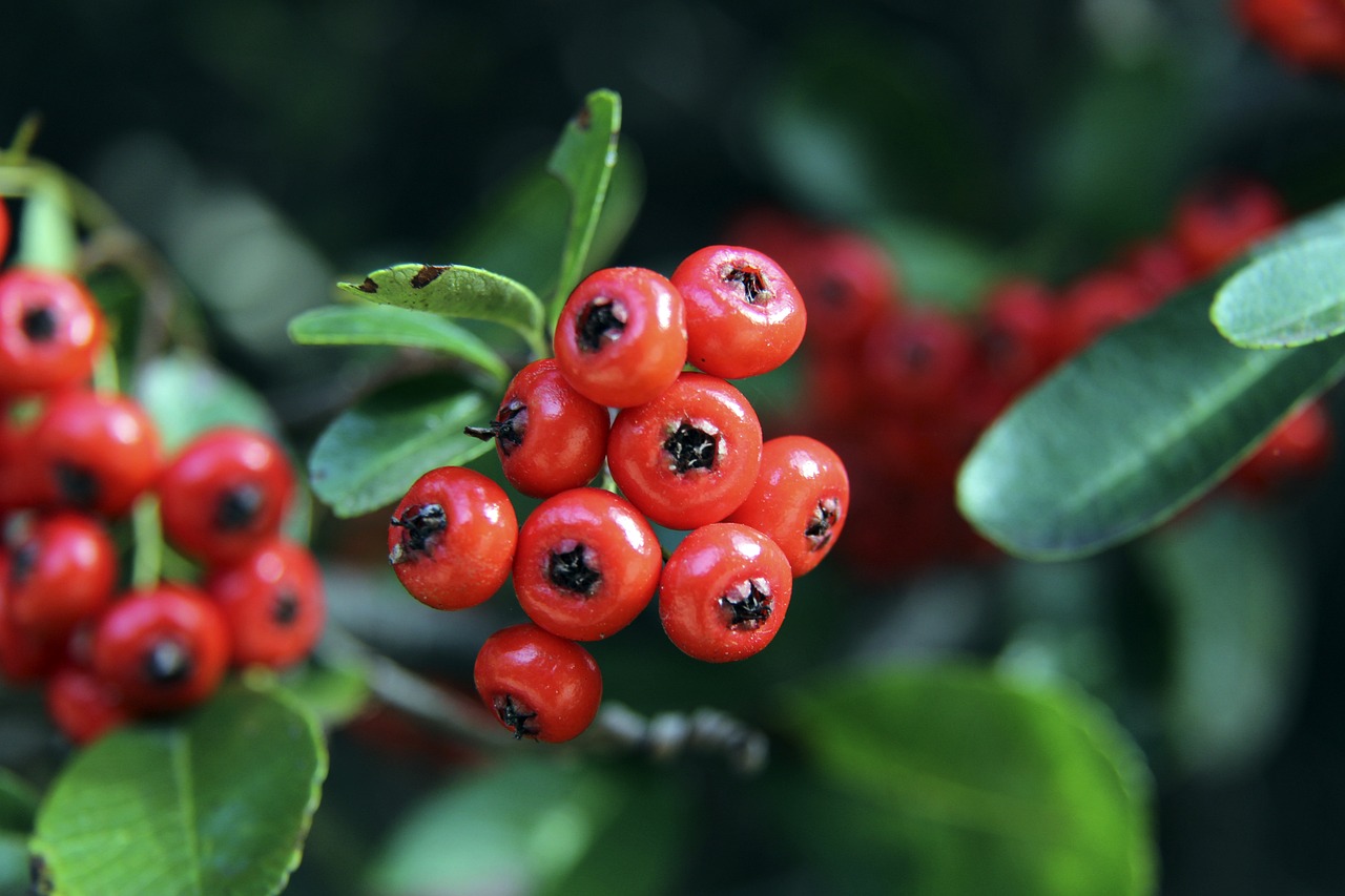 健康的深度 健康的深度